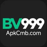 BV 999