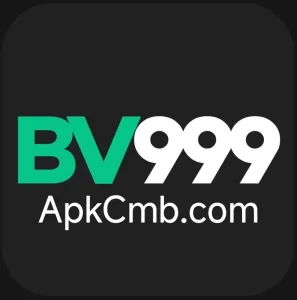 BV 999